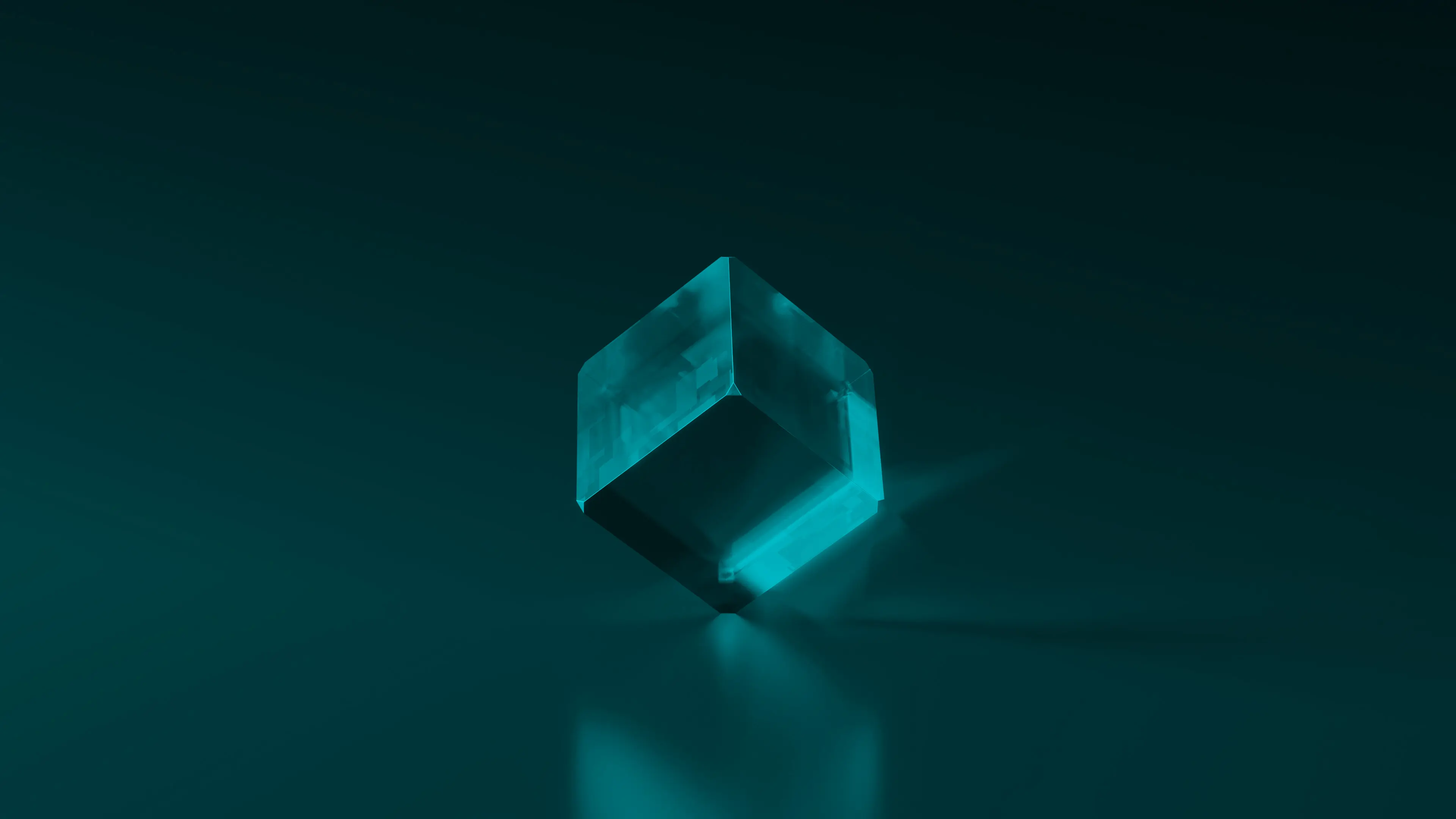 3D & Motion